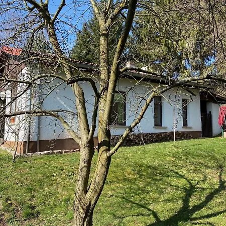 Waldblick Ferienhaus